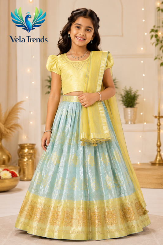 VHS0003 Half Saree with stitched Blouse